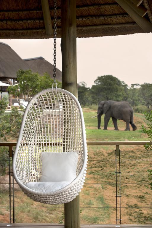 Mhondoro Safari Lodge & Villa Welgevonden Game Reserve Exteriér fotografie