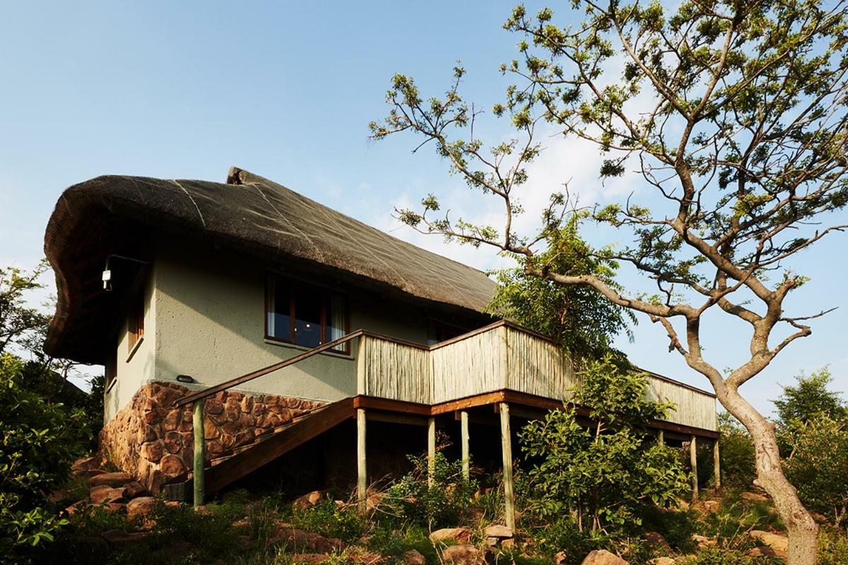 Mhondoro Safari Lodge & Villa Welgevonden Game Reserve Exteriér fotografie